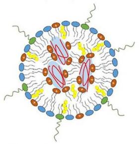 Virus
