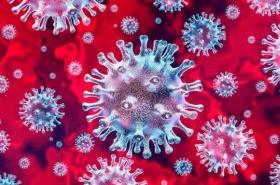 virus covid